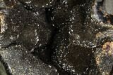 Septarian Dragon Egg Geode - Black Crystals #111227-1